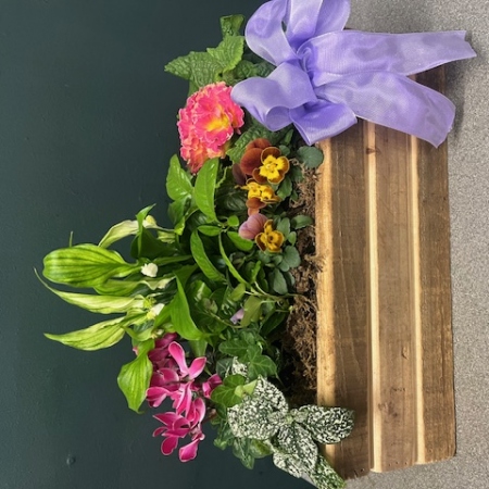 New-planter