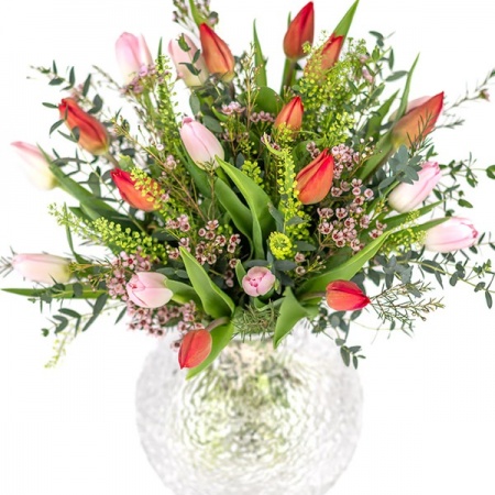 imgi_1_63400137-8932-46be-96ec-1a9c573dffac