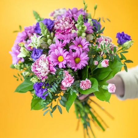 imgi_2_21d0042f-c64a-4201-9179-35a557fc56d1