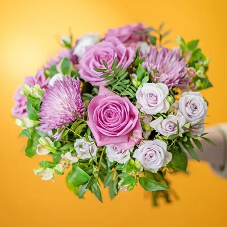 imgi_2_7760ac9a-082b-4709-9182-2f546da761d3