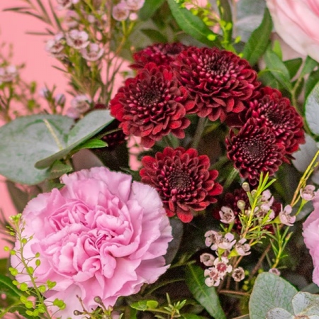 imgi_3_19fe8f75-ae19-4efb-bada-46d7db5761c0