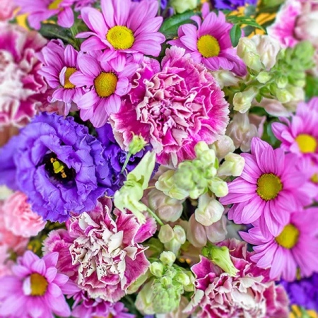 imgi_3_c3089426-b631-4112-bcf3-6a5810b8c466