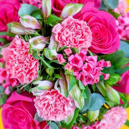 imgi_3_dbf2579b-8a0c-4f3b-9ca6-3771f423d4ff