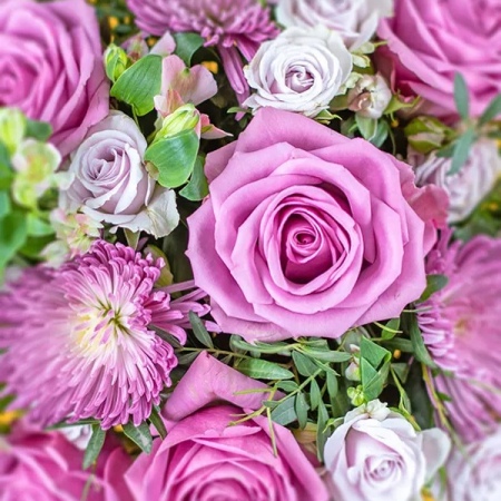 imgi_3_ece38884-cadb-4ea6-8b3b-a7640f954756