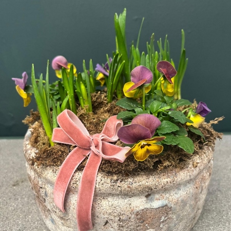 indoor-bowl-of-narcissi-and-violas