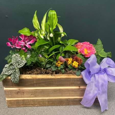 indoor-planter-wooden-box