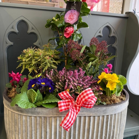 large-outdoor-planter-with-camelia