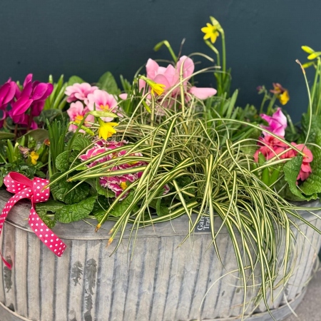 large-outdoor-planter