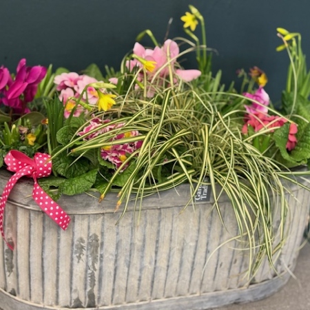 trough-planter